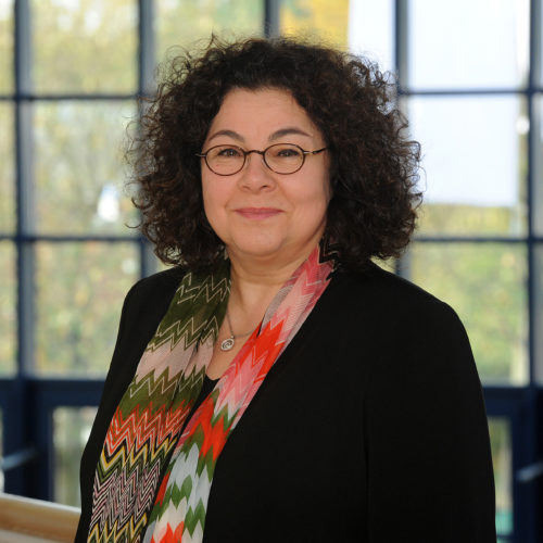 Prof. Dr. Sabine Bohnet-Joschko