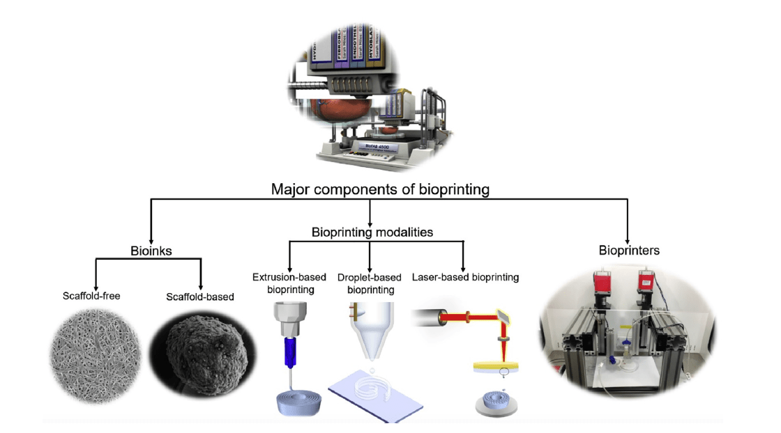 3D Druck